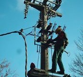 lineemt_18
