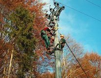 lineemt_19
