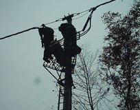 lineemt_20