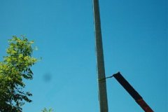 lineemt_7